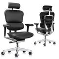 Ergohuman LE9ERG-GEN2 High Back Leather chair