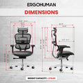 Ergohuman LEM4ERG-GEN2 High Back Leather Seat Mesh Back chair