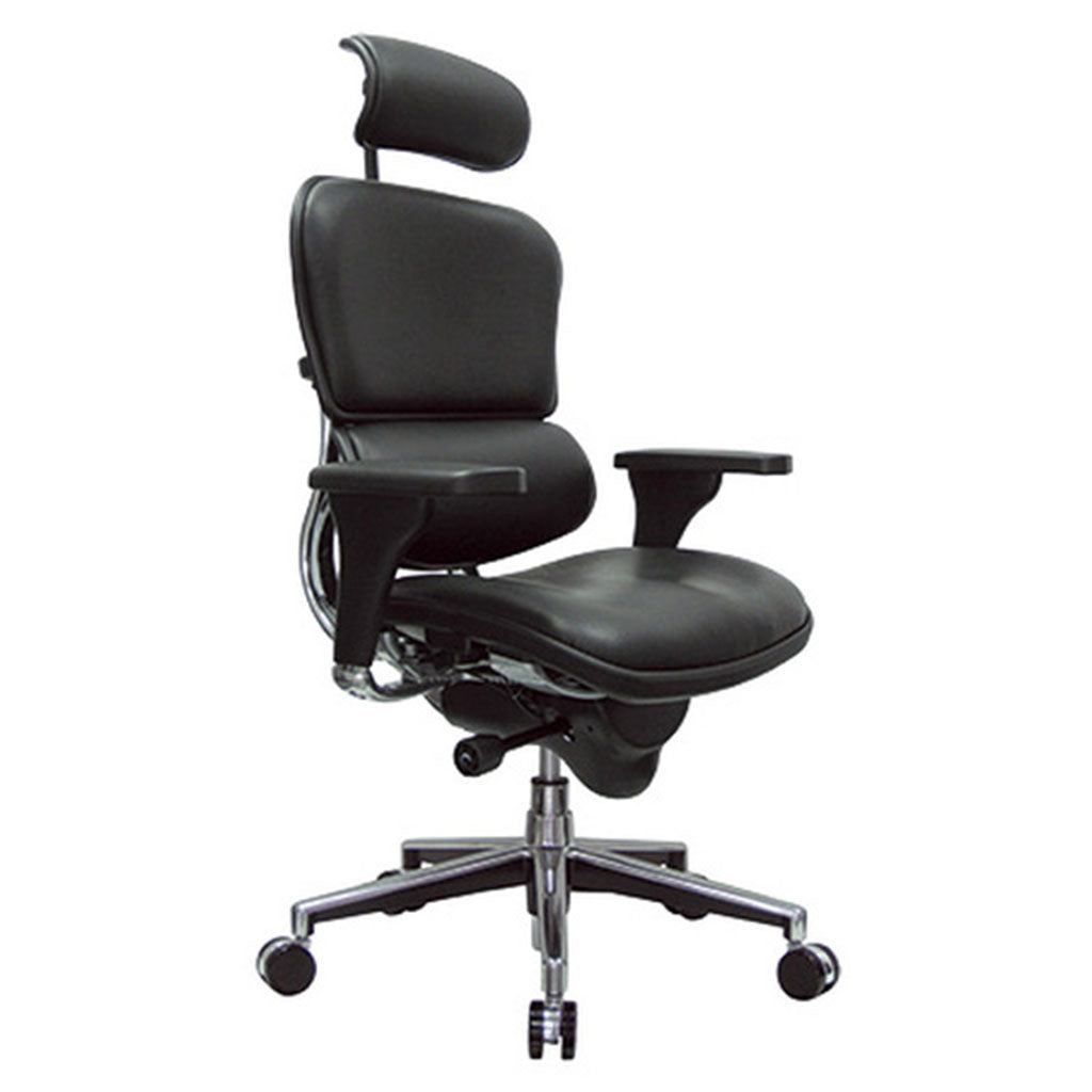 Ergo High Back Leather chair by Eurotech